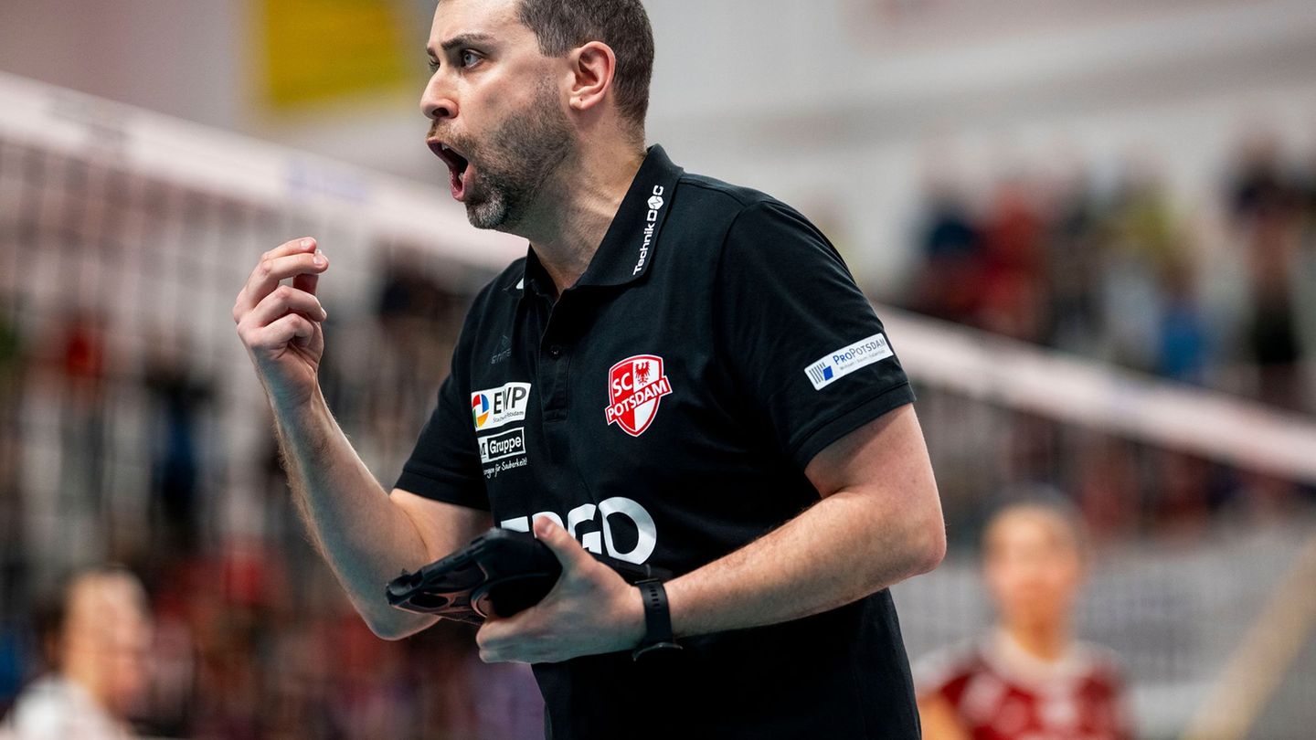 Volleyball-Bundesliga: SC Potsdam reist optimistisch nach Stuttgart