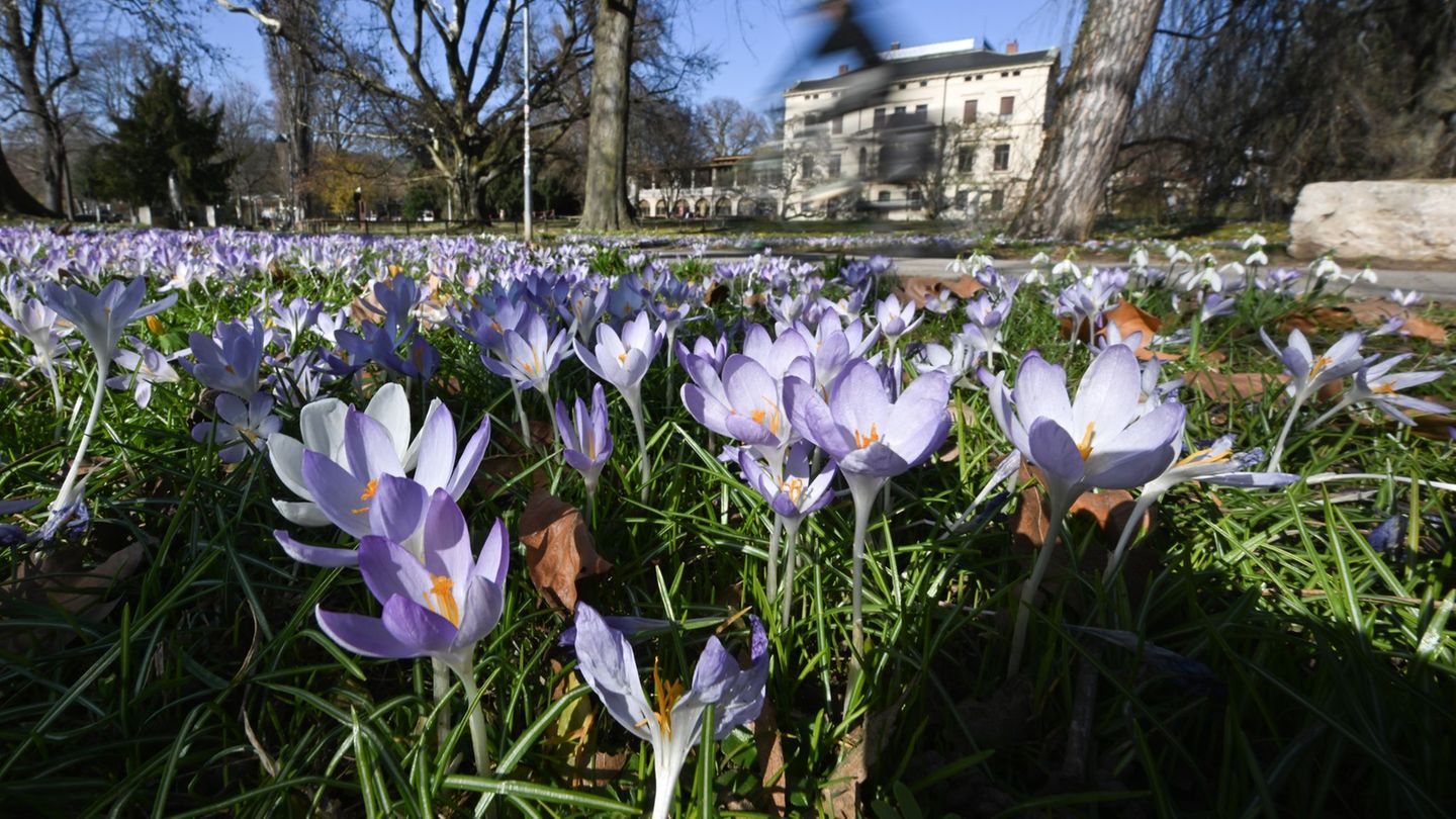 Wetter: Mehr Sonne und milde Temperaturen in Baden-Württemberg