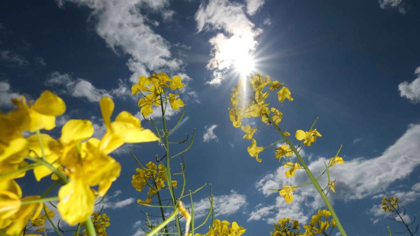 Wettervorhersage: Viel Sonne und bis zu 25 Grad an Muttertag
