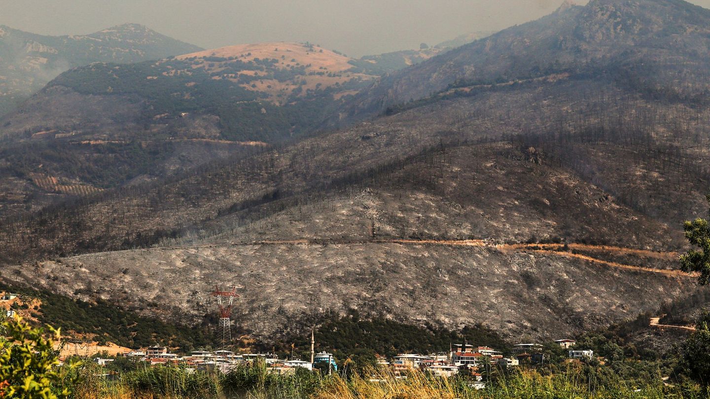 Katastrophen: Drei Tote bei Waldbrandbekämpfung in der Türkei