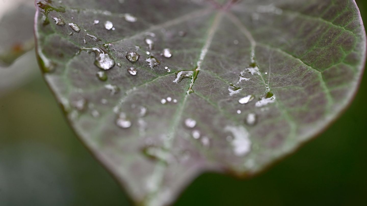 Wettervorhersage: Neue Woche wird in NRW zunehmend wärmer