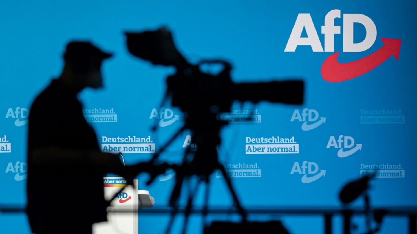OB-Wahl in Ludwigshafen: Abgelehnter AfD-Kandidat scheitert mit Verfassungsbeschwerden